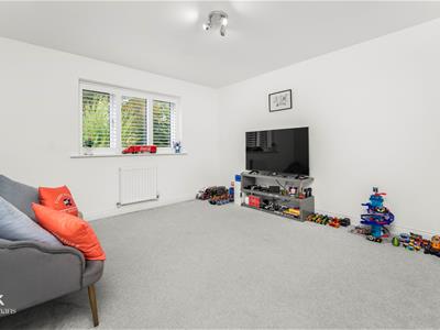 Picture 29